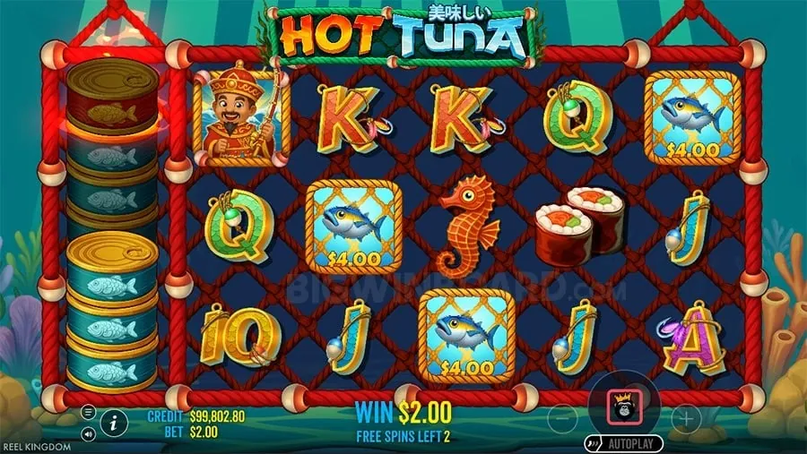 Responsible Gaming Information